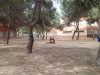 sam_7013