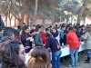 sam_3942