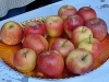 sam_3953