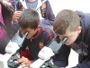 sam_5985
