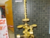 sam_7733