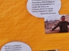 sam_6951-crop