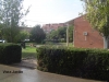 vista_jardin