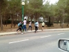 polimarcha-041