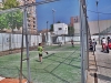 sam_6066