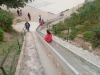 sam_7291