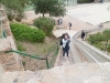 sam_7297