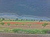 dscf2590cc