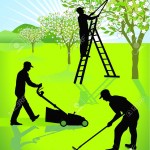 Jardineros Jardineros